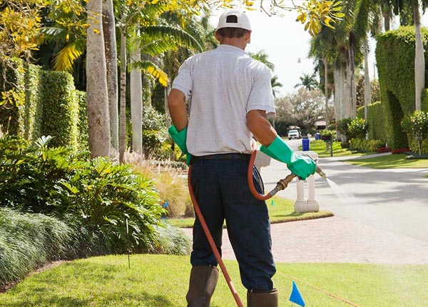About Bennington NE Pest Control
